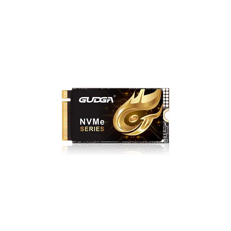 2242 Fad PCIE 4.0 NVMe SSD 7000MB/s